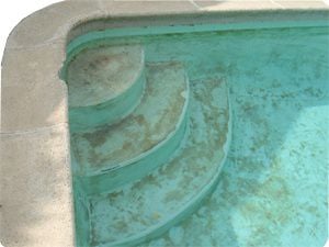 Stained concrete pool steps