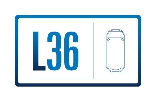 L36 identity