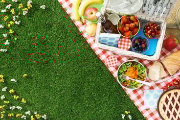 staycation backyard picnic 