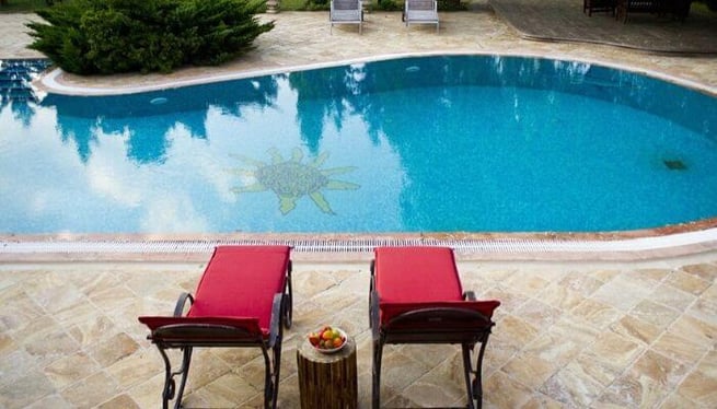 freeform concrete pool design