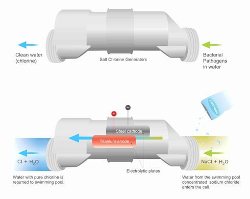 how a salt cell works