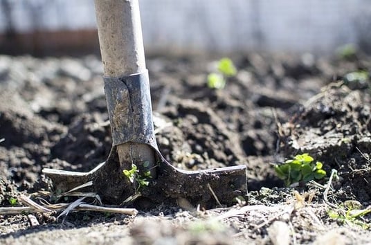 Planting in soil over filled in pool