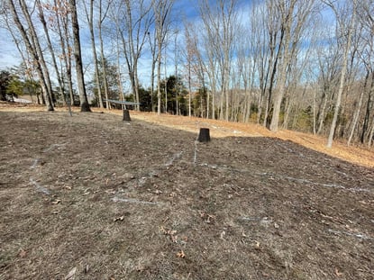 Image 1 - Before Photo of Sloped Yard