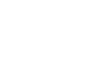 apsp-logo-white