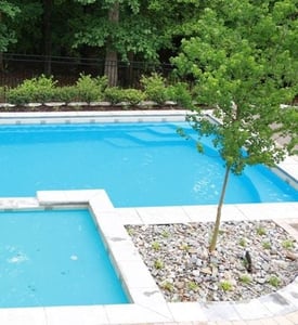 poolside tree for a G36 fiberglass pool