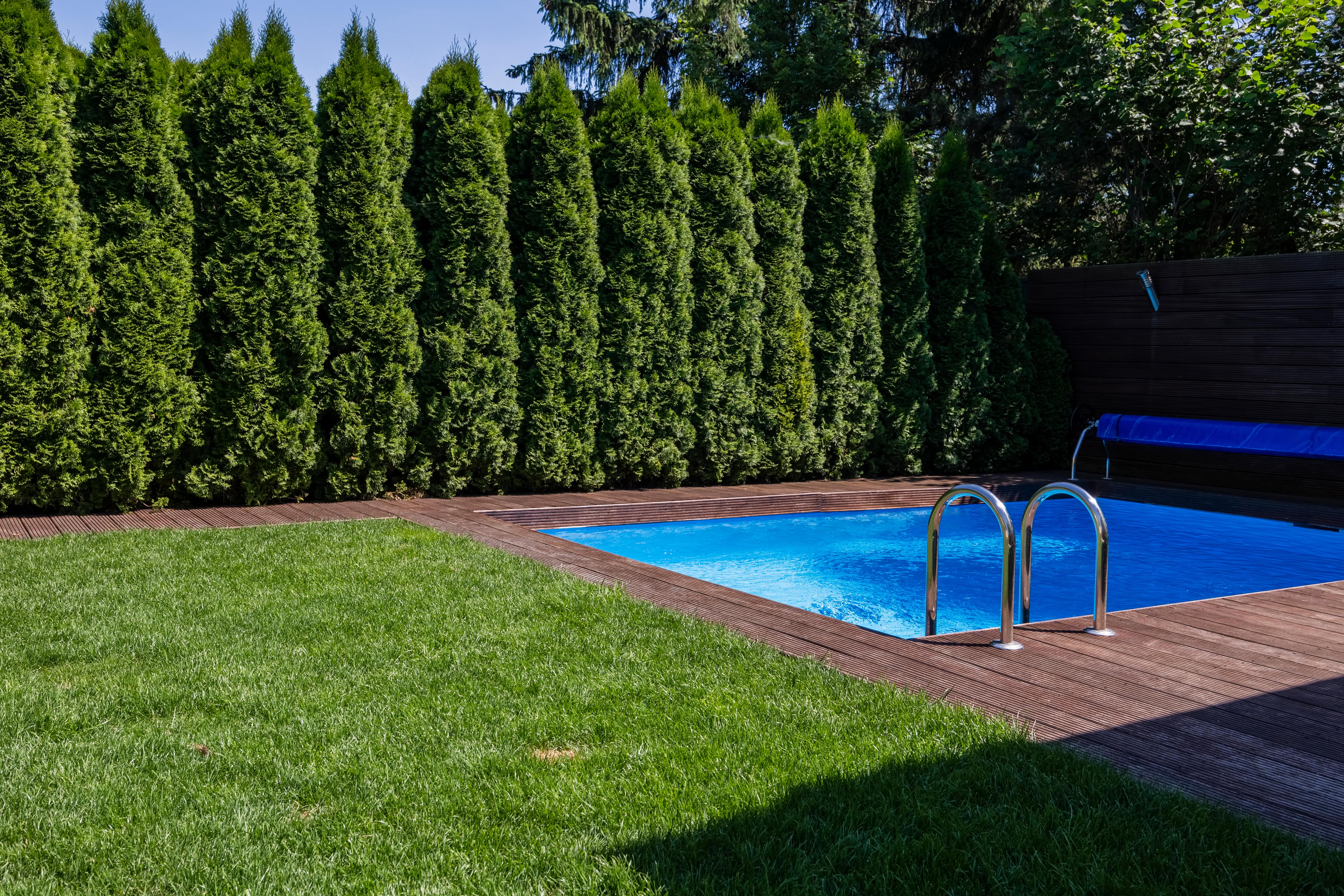 tree swimming pool fence