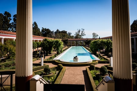 Inground swimming pool with trees and other landscaping around it.