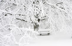 A park bench and tree covered in snow - when is it time to winterize your pool?