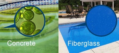 concrete vs fiberglass surface algae