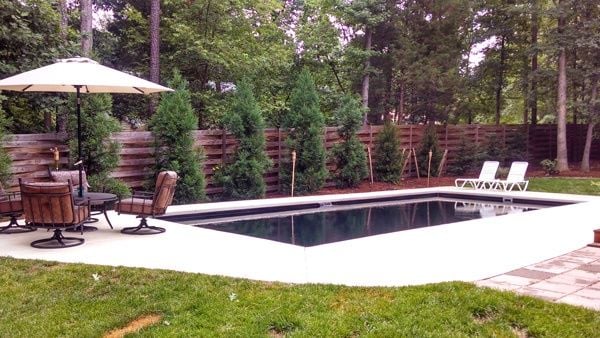 Evergreens along rectangular pool