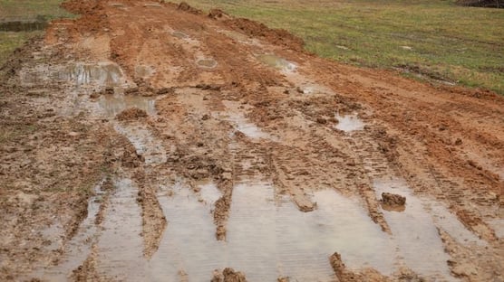 muddy tracks and torn-up grass