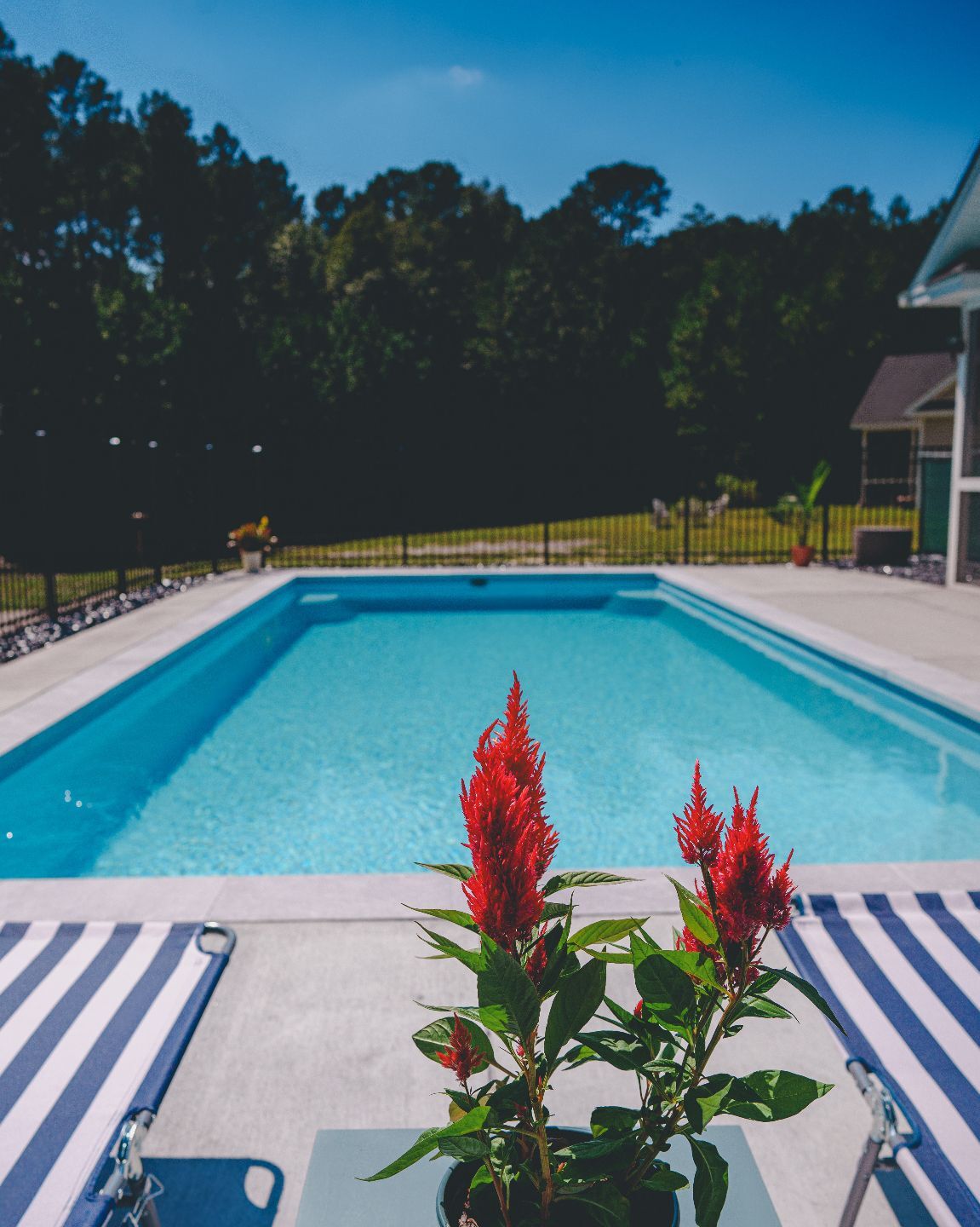 savnnah-pool-installation