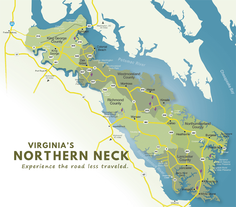 Who Are The Top Pool Builders In The Northern Neck Virginia (Reviews/Ratings)