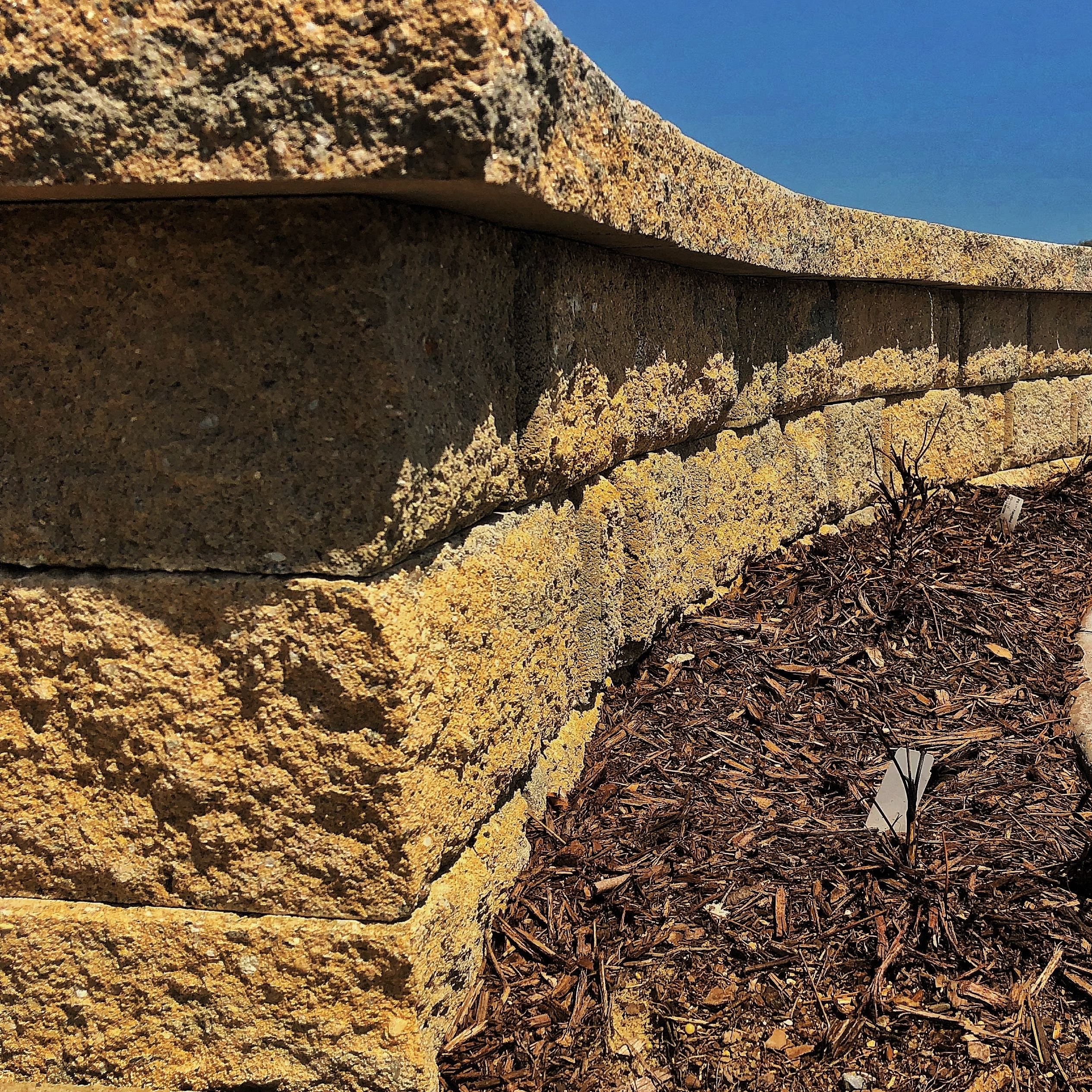 Retaining Wall