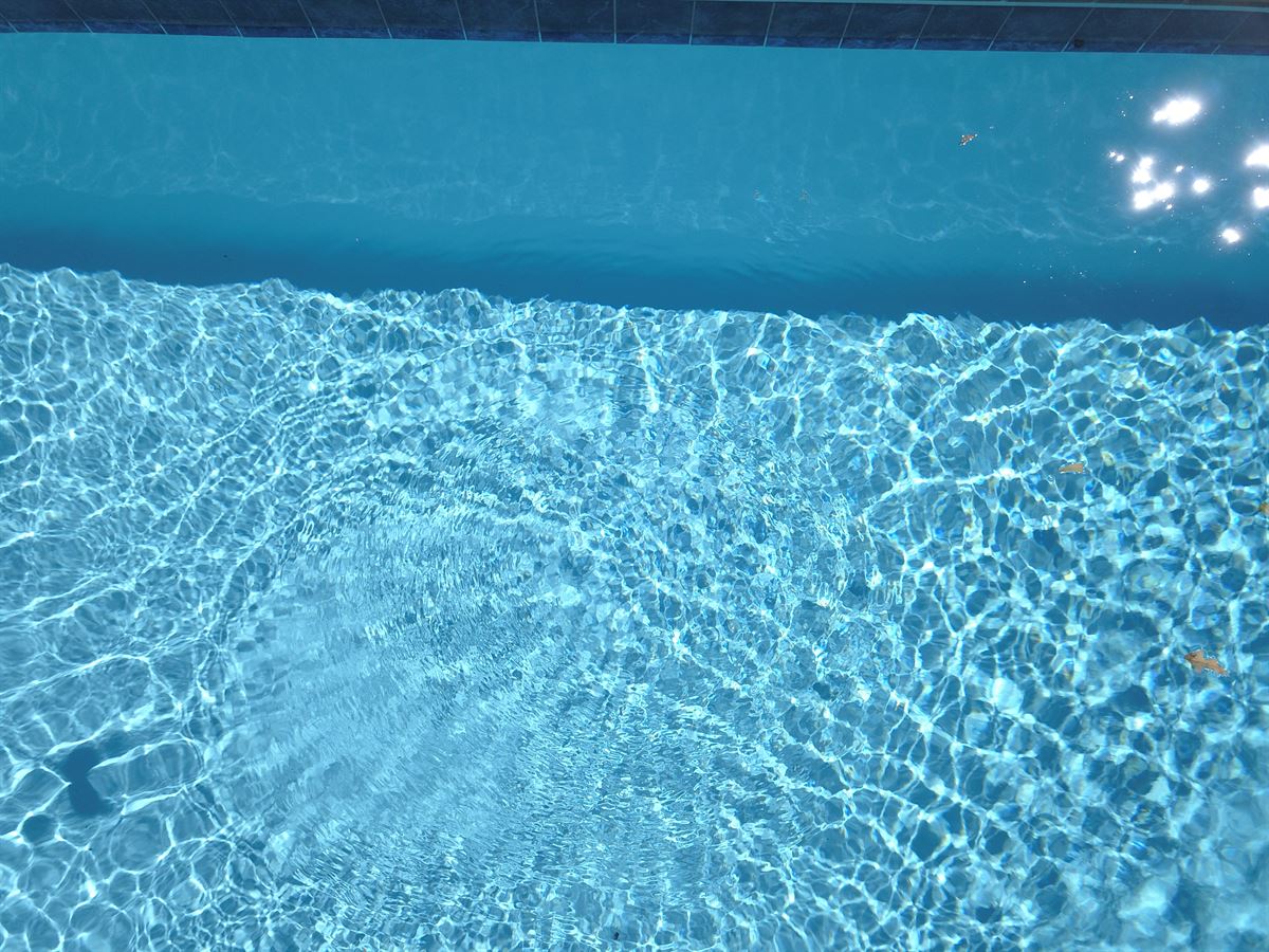 R32 pool in Caribbean with paver coping and brushed concrete decking featuring a cascade water feature