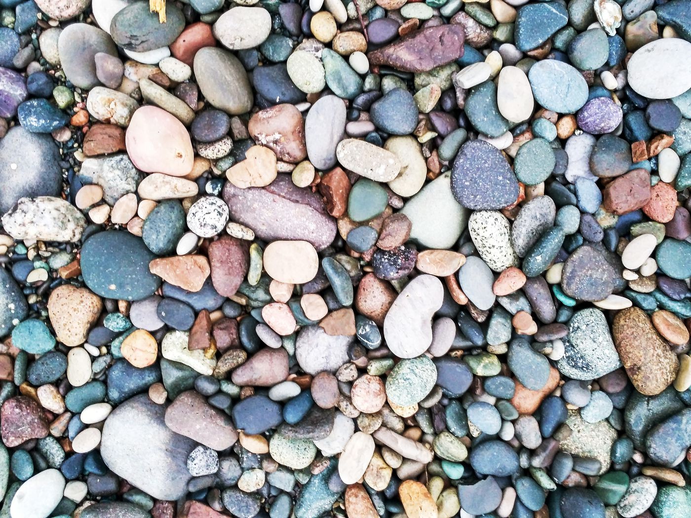 Exposed Aggregate on a Pool: Pros, Cons, & Reviews