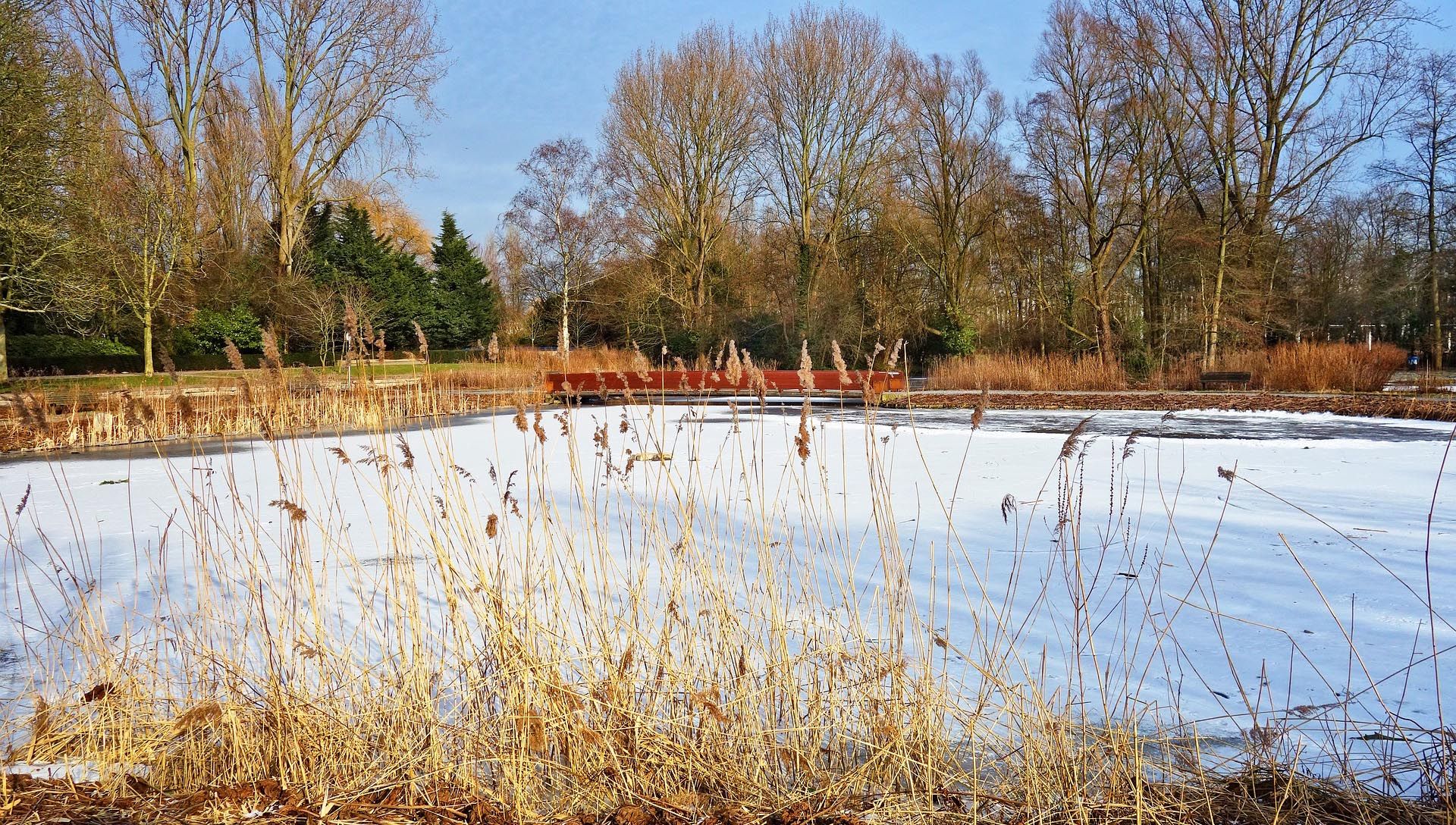 Can You Build a Pool in the Winter or Fall?