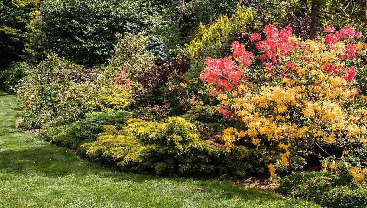 Fall Pool Landscaping Ideas for Your Outdoor Living Space